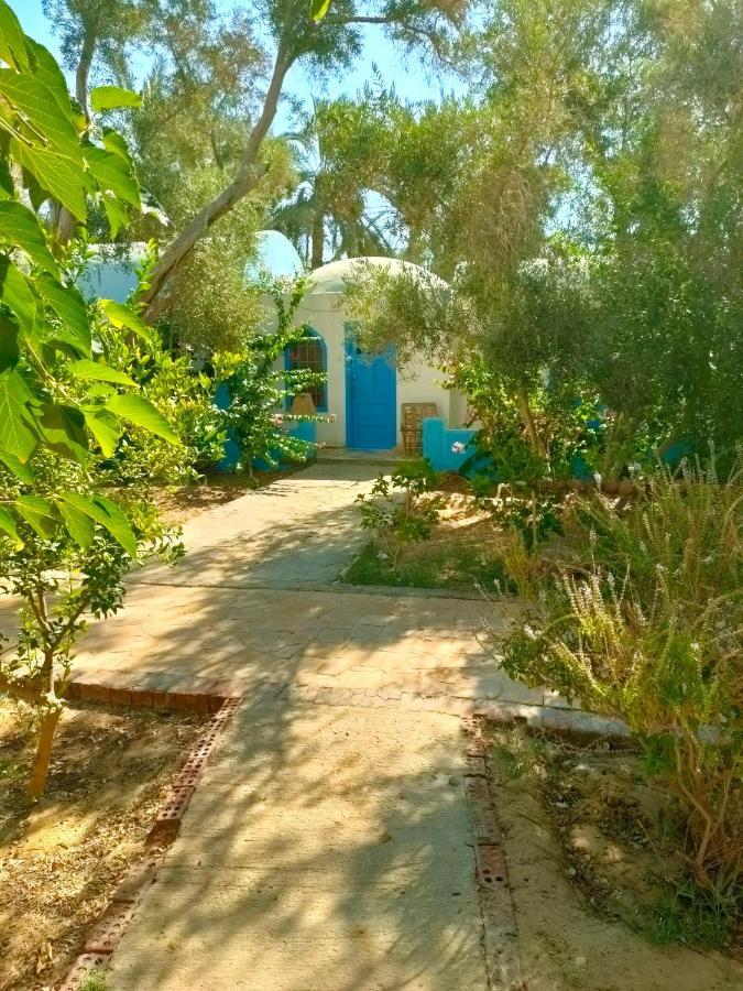 Panta Lodge Siwa Siwa Oasis ภายนอก รูปภาพ
